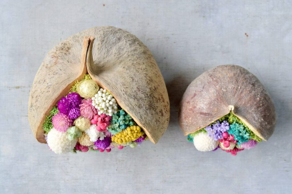 東京の花屋。幸福をもたらすと言われる縁起物のブッダナッツを器にした叢屋Kusamurayaドライフラワーアレンジ 誕生日・記念日ギフトや自宅インテリアにおすすめ。