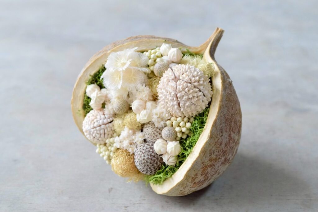 東京の花屋。幸福をもたらすと言われる縁起物のブッダナッツを器にした叢屋Kusamurayaドライフラワーアレンジ 誕生日・記念日ギフトや自宅インテリアにおすすめ。