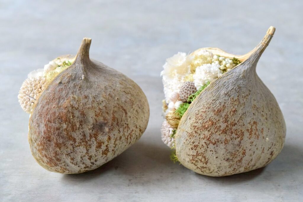 東京の花屋。幸福をもたらすと言われる縁起物のブッダナッツを器にした叢屋Kusamurayaドライフラワーアレンジ 誕生日・記念日ギフトや自宅インテリアにおすすめ。