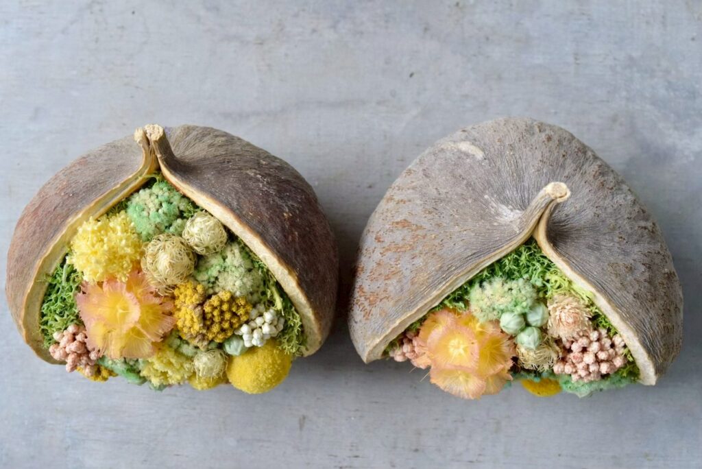 東京の花屋。幸福をもたらすと言われる縁起物のブッダナッツを器にした叢屋Kusamurayaドライフラワーアレンジ 誕生日・記念日ギフトや自宅インテリアにおすすめ。