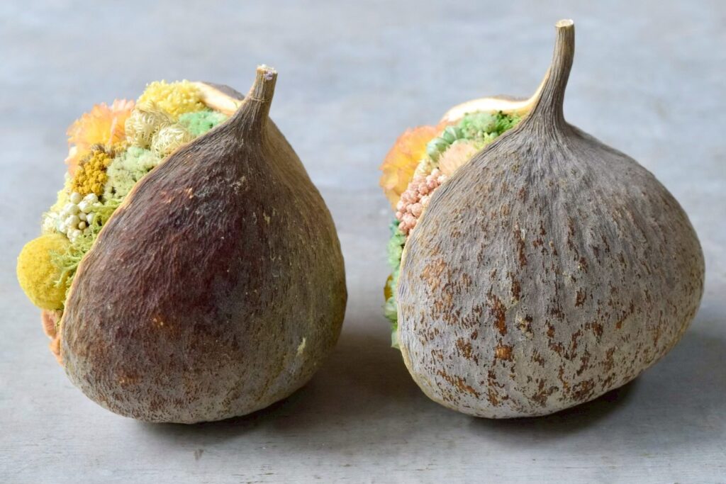 東京の花屋。幸福をもたらすと言われる縁起物のブッダナッツを器にした叢屋Kusamurayaドライフラワーアレンジ 誕生日・記念日ギフトや自宅インテリアにおすすめ。