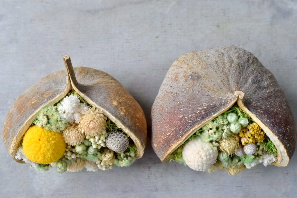 東京の花屋『叢屋kusamuraya』が手がける幸福をもたらすと言われる縁起物のブッダナッツを器にしたドライフラワーアレンジ。誕生日・記念日ギフトや自宅インテリアにおすすめです。
