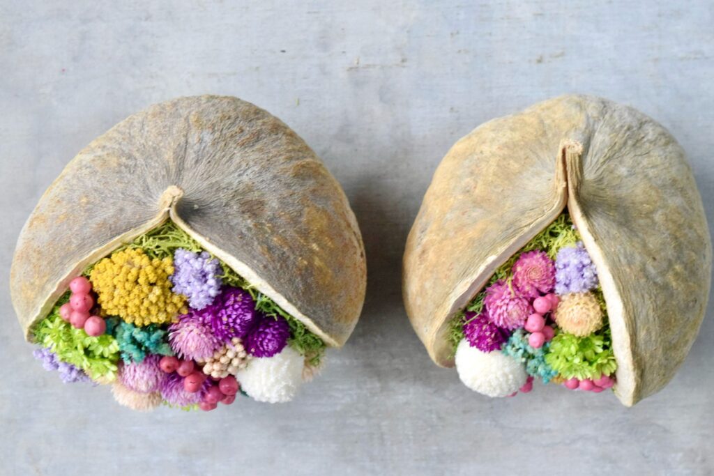 東京の花屋。幸福をもたらすと言われる縁起物のブッダナッツを器にした叢屋Kusamurayaドライフラワーアレンジ 誕生日・記念日ギフトや自宅インテリアにおすすめ。