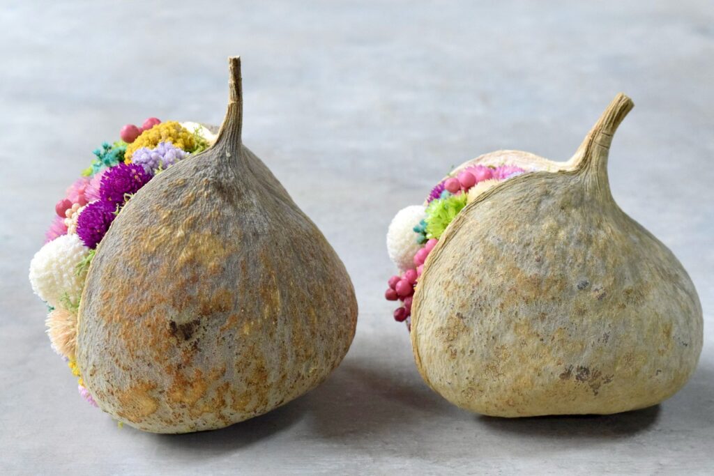 東京の花屋。幸福をもたらすと言われる縁起物のブッダナッツを器にした叢屋Kusamurayaドライフラワーアレンジ 誕生日・記念日ギフトや自宅インテリアにおすすめ。