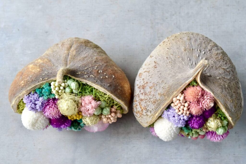 東京の花屋。幸福をもたらすと言われる縁起物のブッダナッツを器にした叢屋Kusamurayaドライフラワーアレンジ 誕生日・記念日ギフトや自宅インテリアにおすすめ。