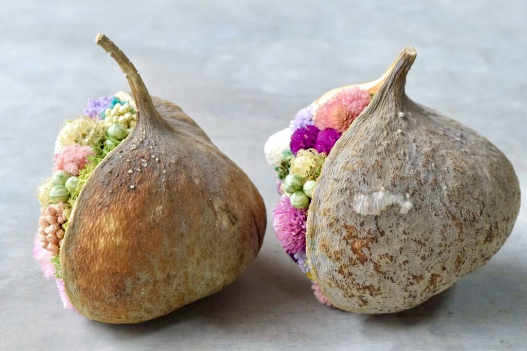 東京の花屋。幸福をもたらすと言われる縁起物のブッダナッツを器にした叢屋Kusamurayaドライフラワーアレンジ 誕生日・記念日ギフトや自宅インテリアにおすすめ。