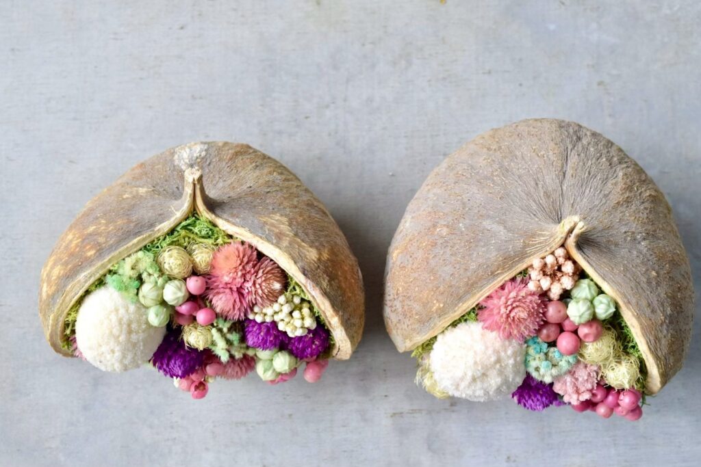 東京の花屋。幸福をもたらすと言われる縁起物のブッダナッツを器にした叢屋Kusamurayaドライフラワーアレンジ 誕生日・記念日ギフトや自宅インテリアにおすすめ。