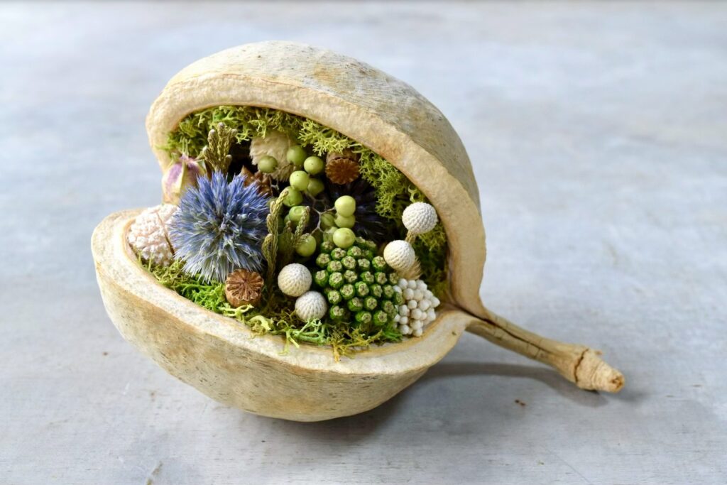 東京の花屋『叢屋kusamuraya』が手がける幸福をもたらすと言われる縁起物のブッダナッツを器にしたドライフラワーアレンジ