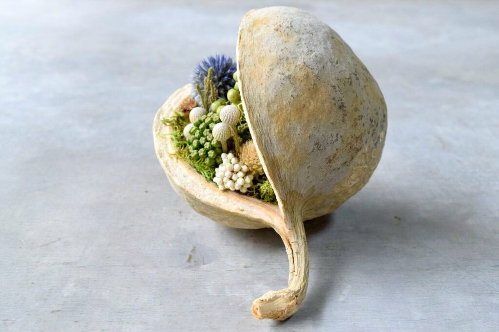 東京の花屋『叢屋kusamuraya』が手がける幸福をもたらすと言われる縁起物のブッダナッツを器にしたドライフラワーアレンジ