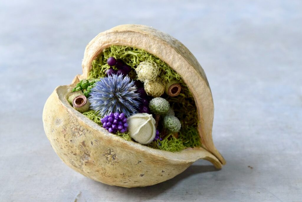 東京の花屋『叢屋kusamuraya』が手がける幸福をもたらすと言われる縁起物のブッダナッツを器にしたドライフラワーアレンジ