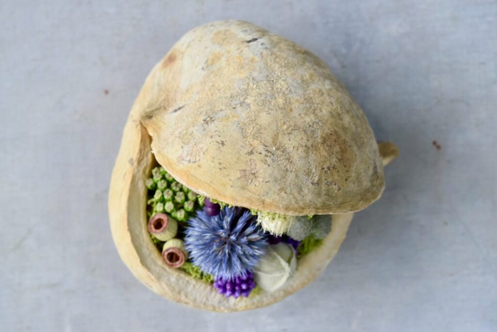 東京の花屋『叢屋kusamuraya』が手がける幸福をもたらすと言われる縁起物のブッダナッツを器にしたドライフラワーアレンジ