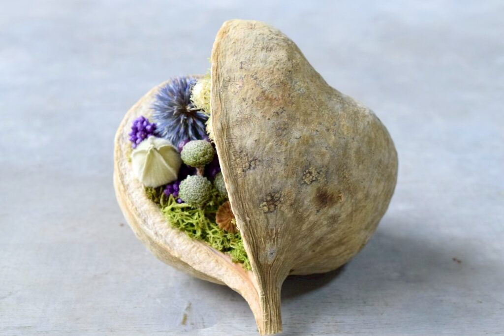 東京の花屋『叢屋kusamuraya』が手がける幸福をもたらすと言われる縁起物のブッダナッツを器にしたドライフラワーアレンジ