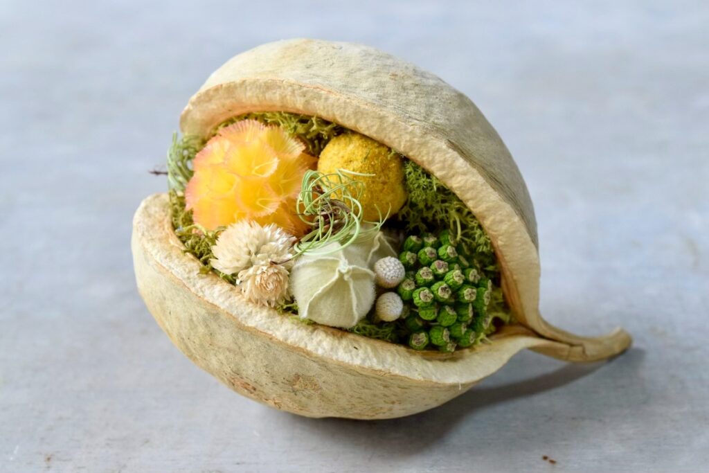 東京の花屋『叢屋kusamuraya』が手がける幸福をもたらすと言われる縁起物のブッダナッツを器にしたドライフラワーアレンジ