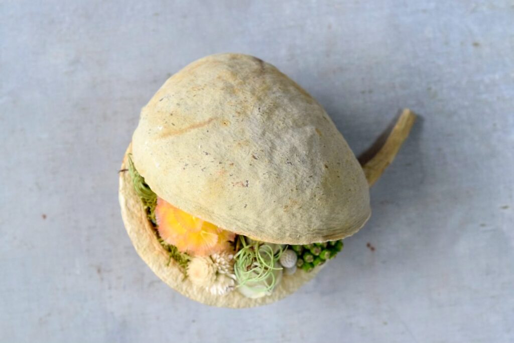 東京の花屋『叢屋kusamuraya』が手がける幸福をもたらすと言われる縁起物のブッダナッツを器にしたドライフラワーアレンジ