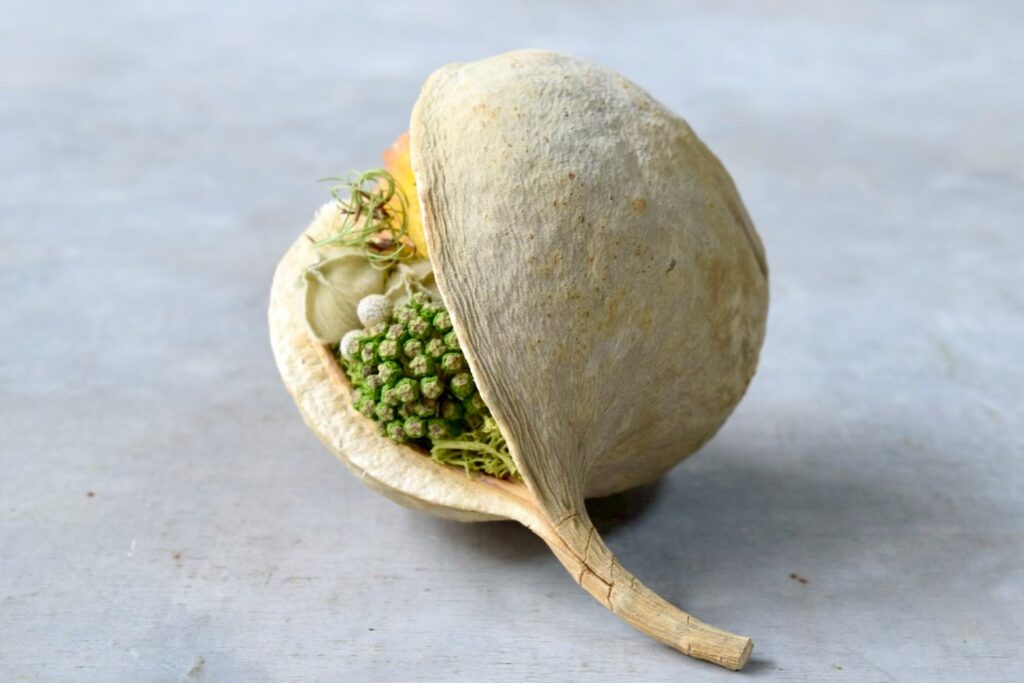 東京の花屋『叢屋kusamuraya』が手がける幸福をもたらすと言われる縁起物のブッダナッツを器にしたドライフラワーアレンジ