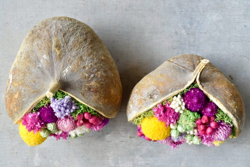 東京の花屋。幸福をもたらすと言われる縁起物のブッダナッツを器にした叢屋Kusamurayaドライフラワーアレンジ 誕生日・記念日ギフトや自宅インテリアにおすすめ。