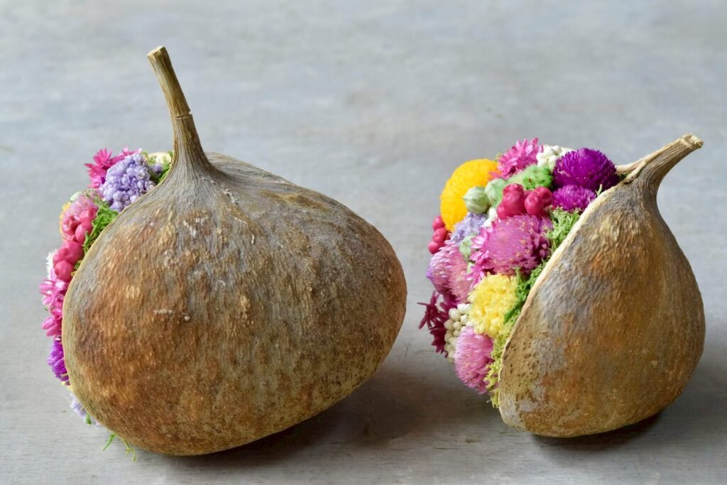 東京の花屋。幸福をもたらすと言われる縁起物のブッダナッツを器にした叢屋Kusamurayaドライフラワーアレンジ 誕生日・記念日ギフトや自宅インテリアにおすすめ。