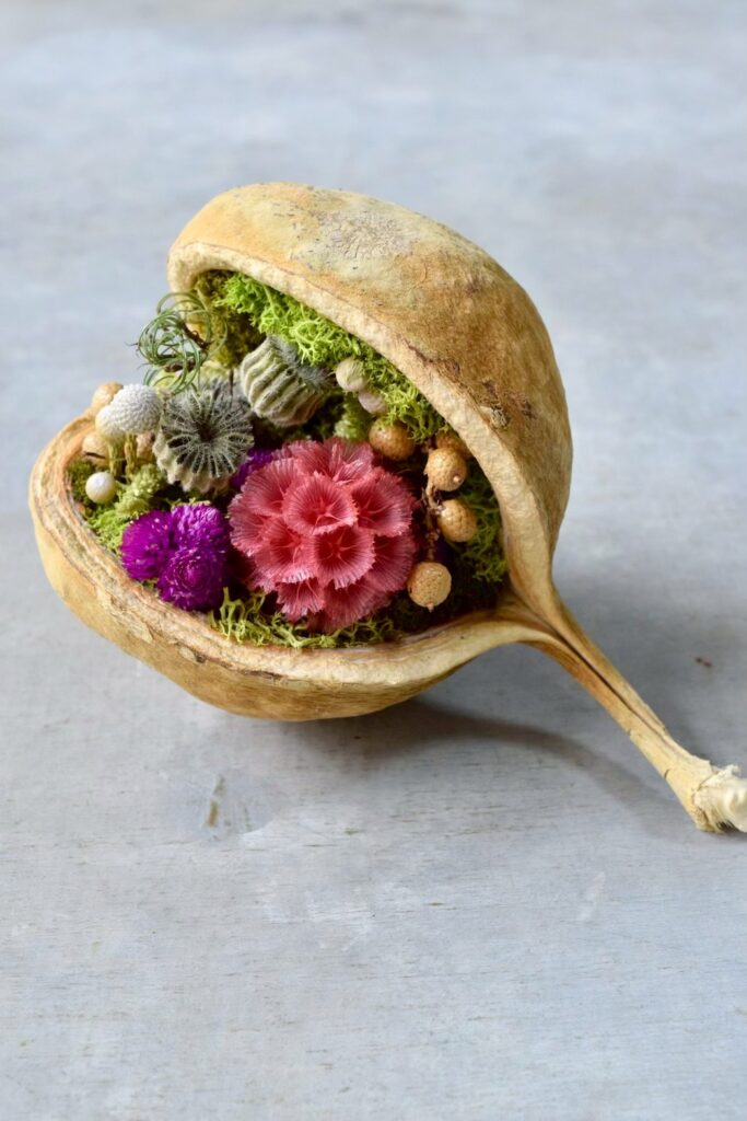 東京の花屋『叢屋kusamuraya』が手がける幸福をもたらすと言われる縁起物のブッダナッツを器にしたドライフラワーアレンジ