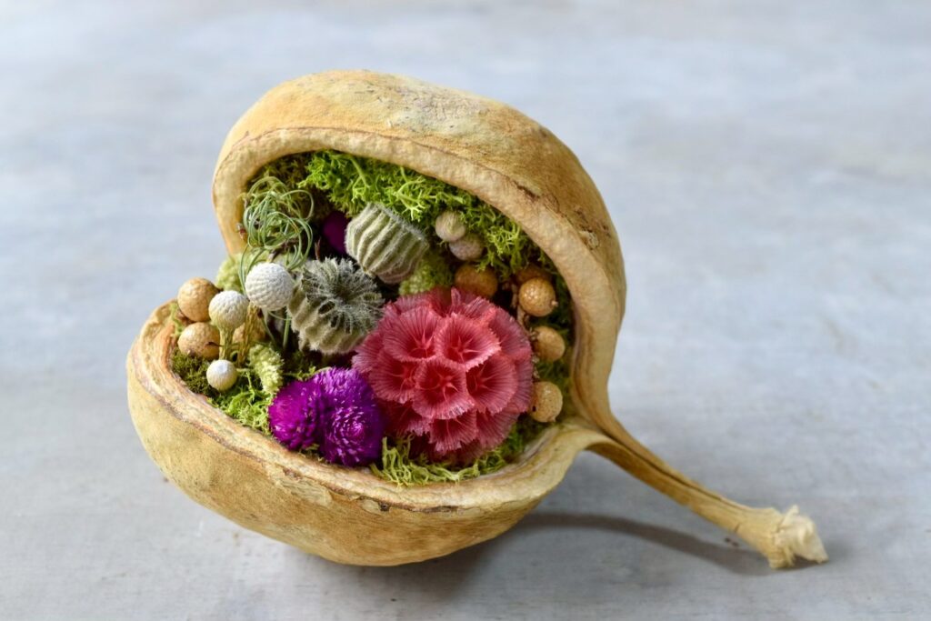 東京の花屋『叢屋kusamuraya』が手がける幸福をもたらすと言われる縁起物のブッダナッツを器にしたドライフラワーアレンジ