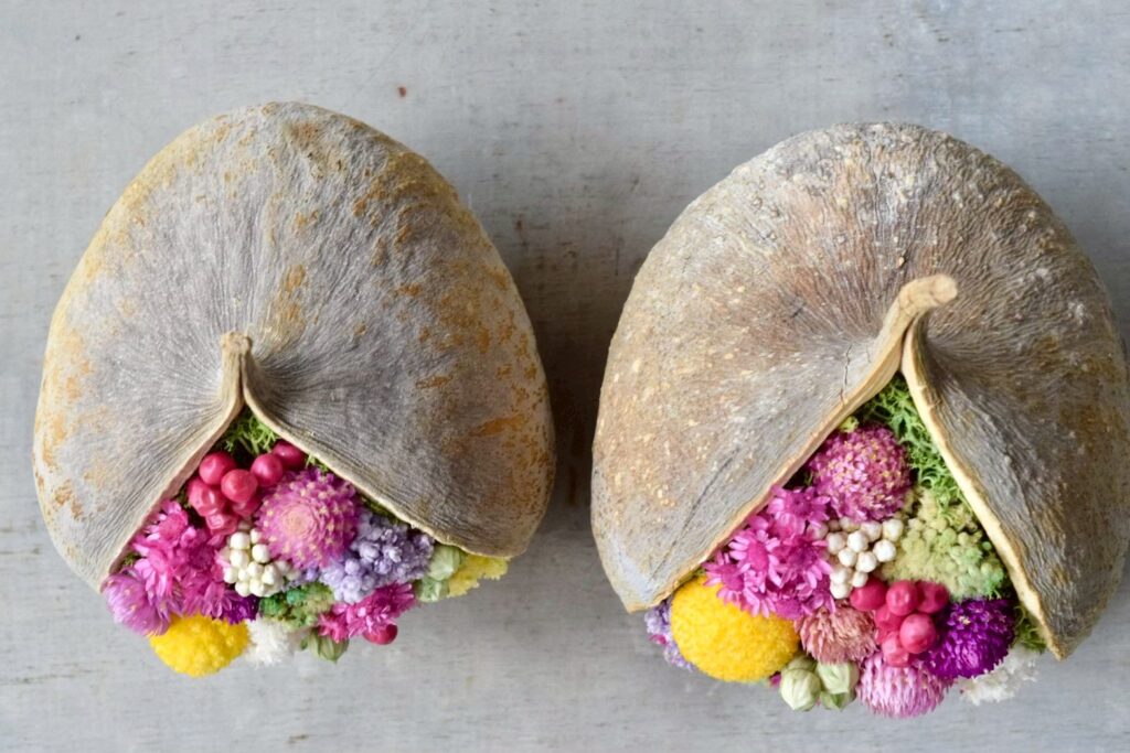 東京の花屋。幸福をもたらすと言われる縁起物のブッダナッツを器にした叢屋Kusamurayaドライフラワーアレンジ 誕生日・記念日ギフトや自宅インテリアにおすすめ。