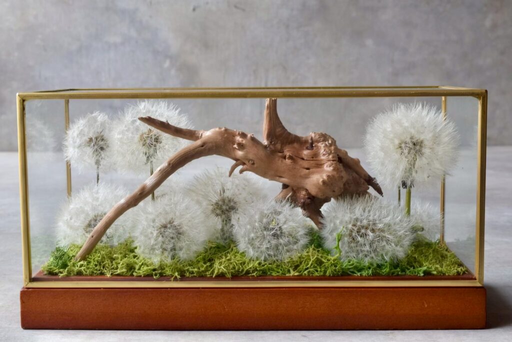 東京の花屋 叢屋Kusamurayaのドライフラワーインテリア雑貨。アンティーク調ガラスケース入りで、自宅用やギフト用に人気のアレンジメント。