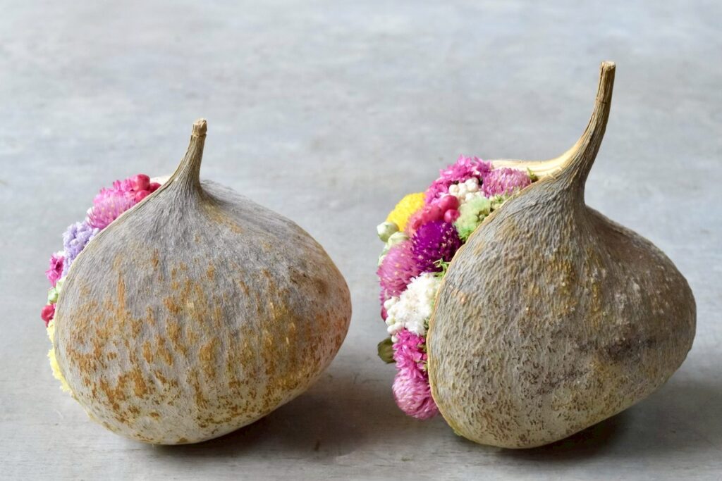 東京の花屋。幸福をもたらすと言われる縁起物のブッダナッツを器にした叢屋Kusamurayaドライフラワーアレンジ 誕生日・記念日ギフトや自宅インテリアにおすすめ。