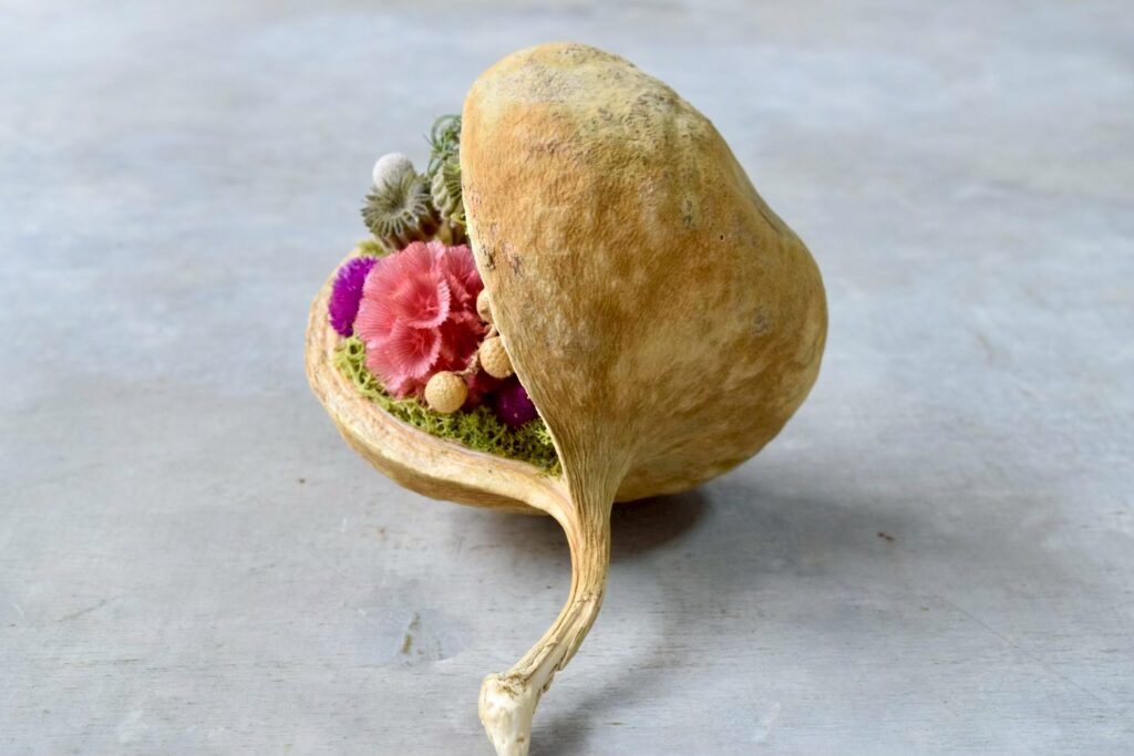 東京の花屋『叢屋kusamuraya』が手がける幸福をもたらすと言われる縁起物のブッダナッツを器にしたドライフラワーアレンジ