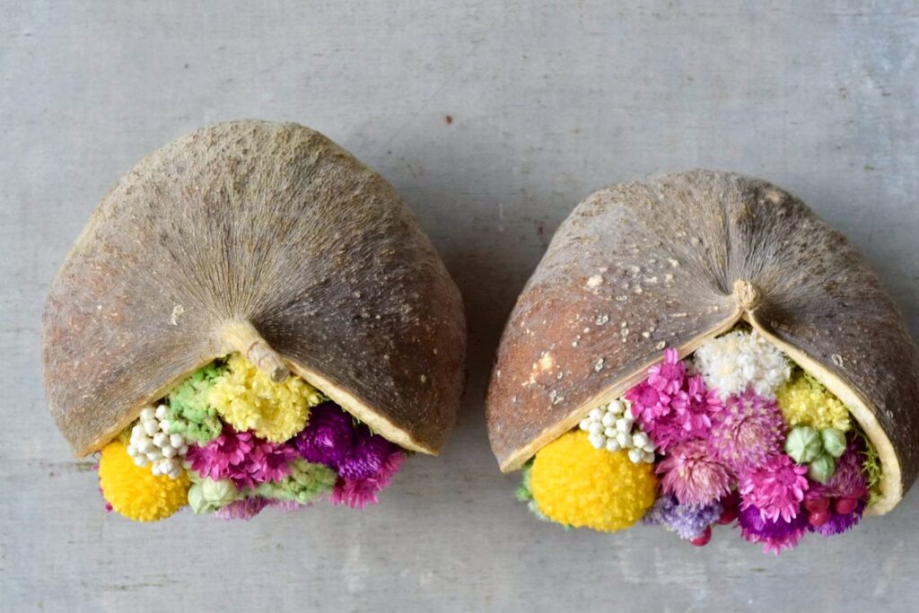 東京の花屋。幸福をもたらすと言われる縁起物のブッダナッツを器にした叢屋Kusamurayaドライフラワーアレンジ 誕生日・記念日ギフトや自宅インテリアにおすすめ。