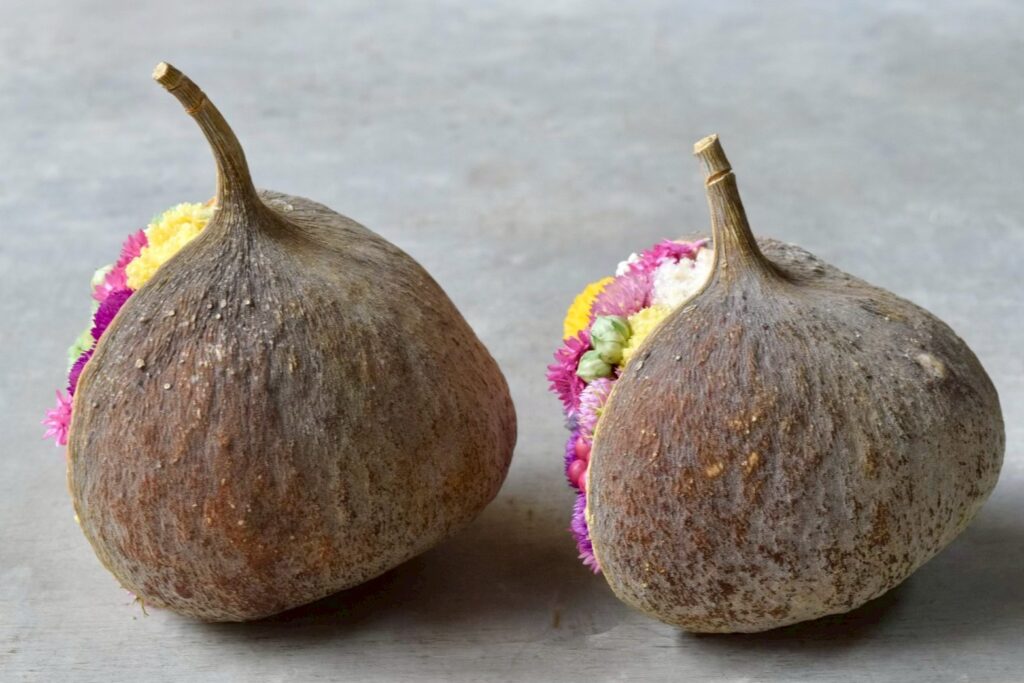 東京の花屋。幸福をもたらすと言われる縁起物のブッダナッツを器にした叢屋Kusamurayaドライフラワーアレンジ 誕生日・記念日ギフトや自宅インテリアにおすすめ。