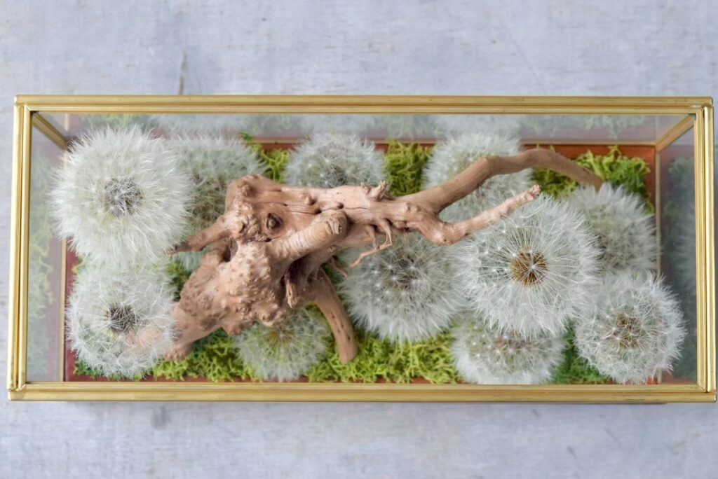 東京の花屋 叢屋Kusamurayaのドライフラワーインテリア雑貨。アンティーク調ガラスケース入りで、自宅用やギフト用に人気のアレンジメント。