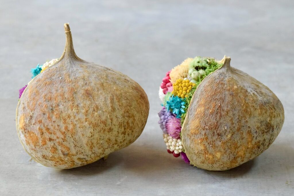 東京の花屋『叢屋kusamuraya』が手がける幸福をもたらすと言われる縁起物のブッダナッツを器にしたドライフラワーアレンジ。誕生日・記念日ギフトや自宅インテリアにおすすめです。