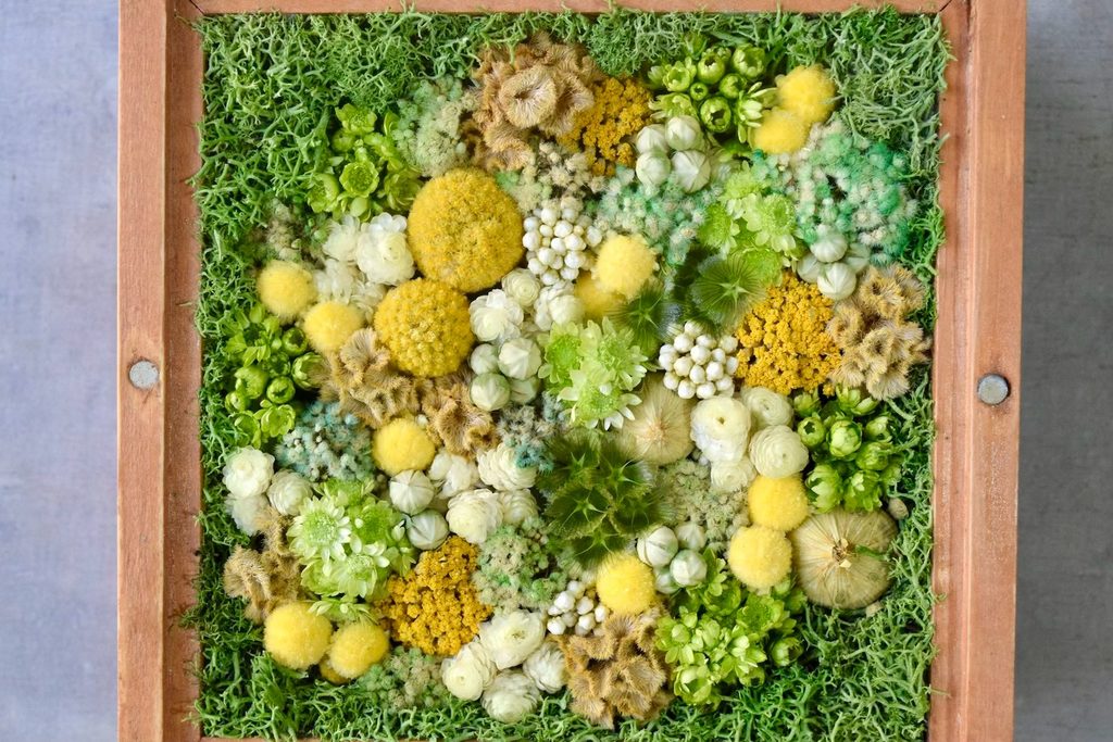 森の奥でひっそりと息づいているような、小さな植物の世界。東京の花屋『叢屋kusamuraya』が手がける、ナチュラルカラーのウッドボックス植物インテリア。