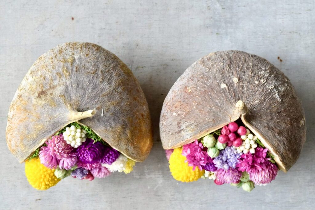 東京の花屋『叢屋kusamuraya』が手がける幸福をもたらすと言われる縁起物のブッダナッツを器にしたドライフラワーアレンジ