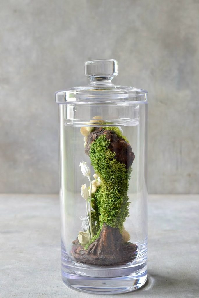叢屋のドライフラワーを用いて、鬱蒼とした植物群が広がる深い森の一角を切り取ったようなボタニカルオブジェ。苔や木皮を組み合わせ、植物が群生する森の景色をジオラマのように立体的に表現しました。