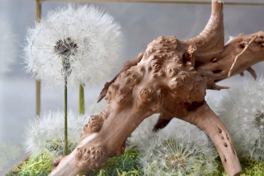 東京の花屋 叢屋Kusamurayaのドライフラワーインテリア雑貨。アンティーク調ガラスケース入りで、自宅用やギフト用に人気のアレンジメント。