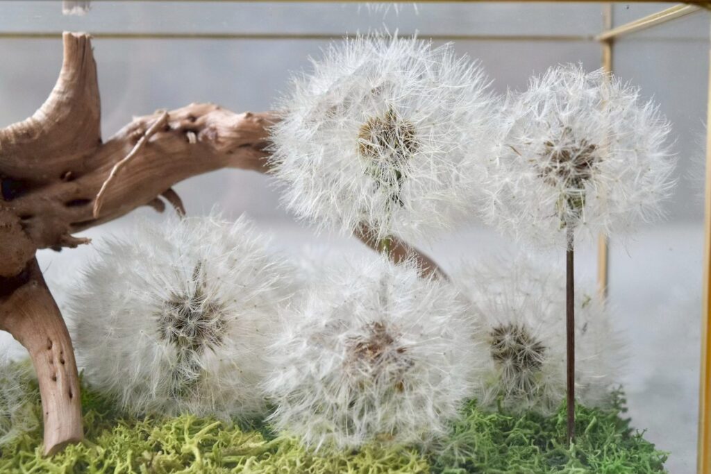 東京の花屋 叢屋Kusamurayaのドライフラワーインテリア雑貨。アンティーク調ガラスケース入りで、自宅用やギフト用に人気のアレンジメント。