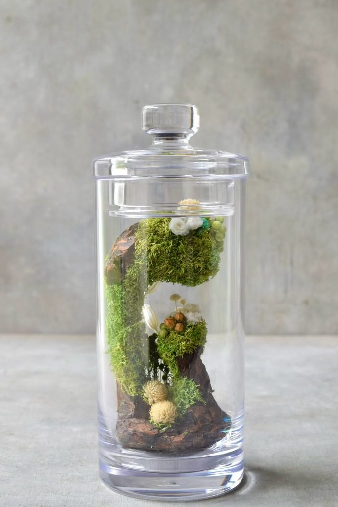 叢屋のドライフラワーを用いて、鬱蒼とした植物群が広がる深い森の一角を切り取ったようなボタニカルオブジェ。苔や木皮を組み合わせ、植物が群生する森の景色をジオラマのように立体的に表現しました。