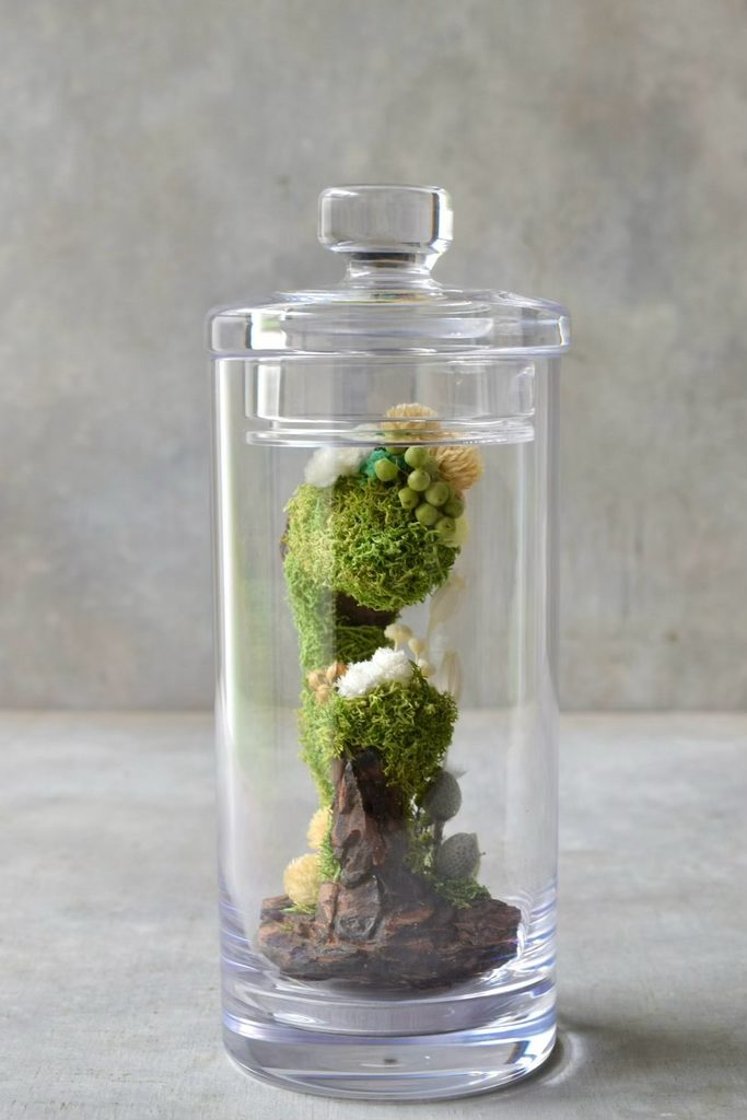 叢屋のドライフラワーを用いて、鬱蒼とした植物群が広がる深い森の一角を切り取ったようなボタニカルオブジェ。苔や木皮を組み合わせ、植物が群生する森の景色をジオラマのように立体的に表現しました。