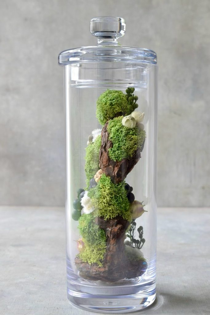 叢屋のドライフラワーを用いて、鬱蒼とした植物群が広がる深い森の一角を切り取ったようなボタニカルオブジェ。苔や木皮を組み合わせ、植物が群生する森の景色をジオラマのように立体的に表現しました。