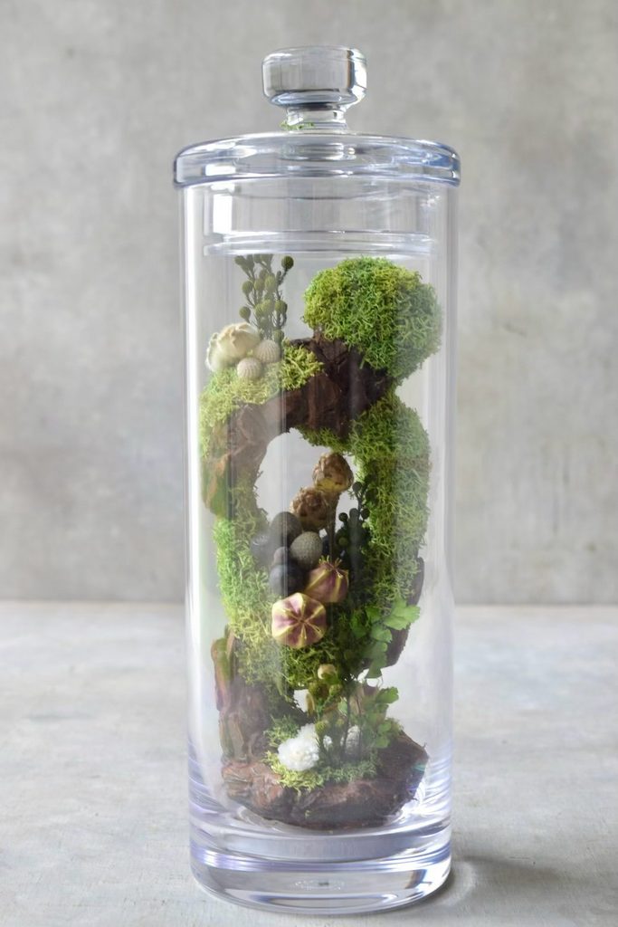 叢屋のドライフラワーを用いて、鬱蒼とした植物群が広がる深い森の一角を切り取ったようなボタニカルオブジェ。苔や木皮を組み合わせ、植物が群生する森の景色をジオラマのように立体的に表現しました。