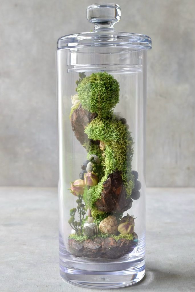 叢屋のドライフラワーを用いて、鬱蒼とした植物群が広がる深い森の一角を切り取ったようなボタニカルオブジェ。苔や木皮を組み合わせ、植物が群生する森の景色をジオラマのように立体的に表現しました。